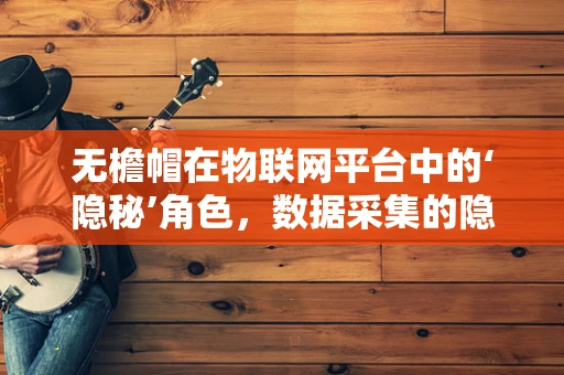 无檐帽在物联网平台中的‘隐秘’角色，数据采集的隐形英雄？