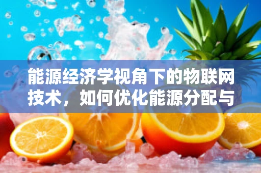 能源经济学视角下的物联网技术，如何优化能源分配与消费？