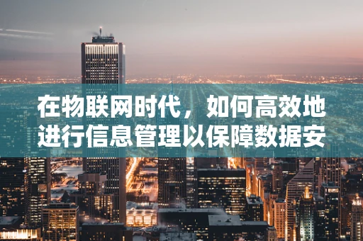 在物联网时代，如何高效地进行信息管理以保障数据安全与隐私？