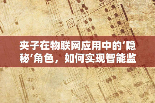 夹子在物联网应用中的‘隐秘’角色，如何实现智能监控与数据收集？