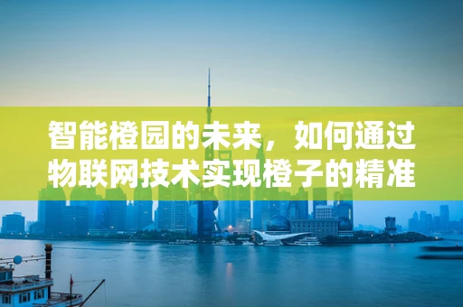 智能橙园的未来，如何通过物联网技术实现橙子的精准管理？