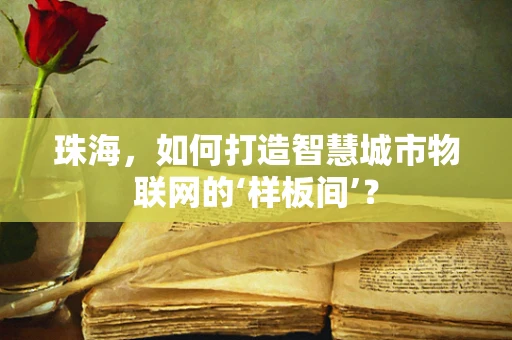 珠海，如何打造智慧城市物联网的‘样板间’？