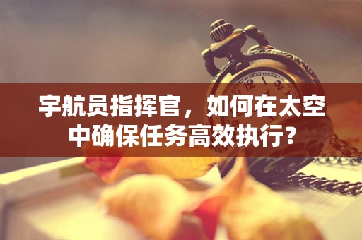 宇航员指挥官，如何在太空中确保任务高效执行？