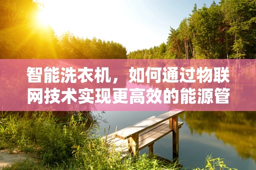 智能洗衣机，如何通过物联网技术实现更高效的能源管理？