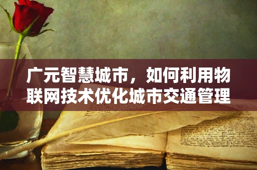 广元智慧城市，如何利用物联网技术优化城市交通管理？