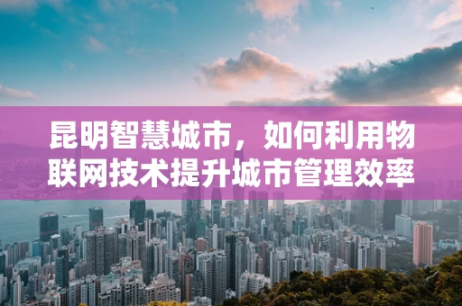 昆明智慧城市，如何利用物联网技术提升城市管理效率？