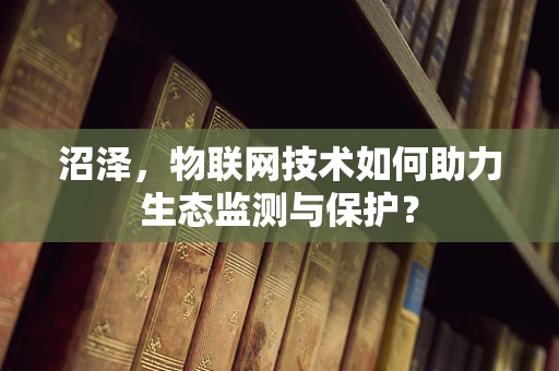沼泽，物联网技术如何助力生态监测与保护？