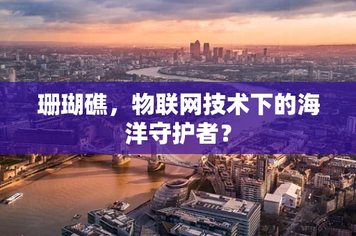 珊瑚礁，物联网技术下的海洋守护者？