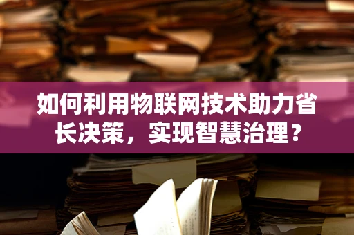 如何利用物联网技术助力省长决策，实现智慧治理？