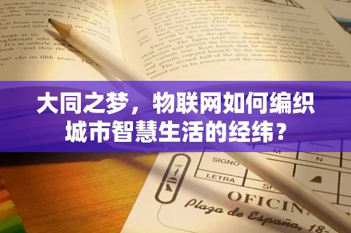 大同之梦，物联网如何编织城市智慧生活的经纬？