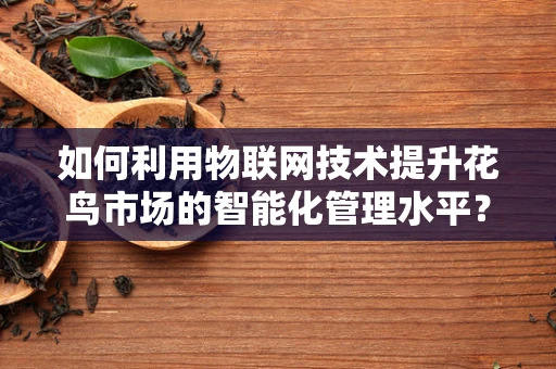 如何利用物联网技术提升花鸟市场的智能化管理水平？