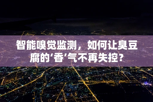 智能嗅觉监测，如何让臭豆腐的‘香’气不再失控？