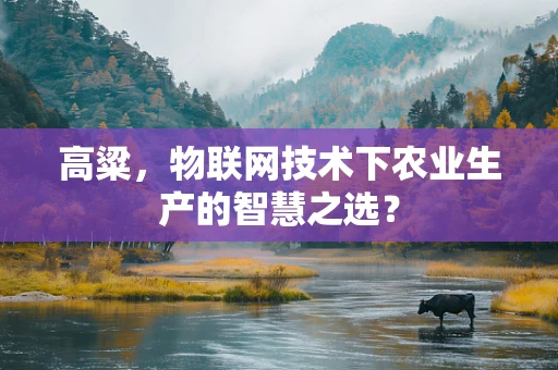 高粱，物联网技术下农业生产的智慧之选？