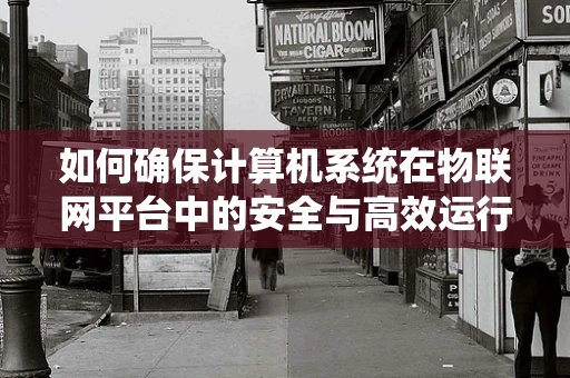 如何确保计算机系统在物联网平台中的安全与高效运行？