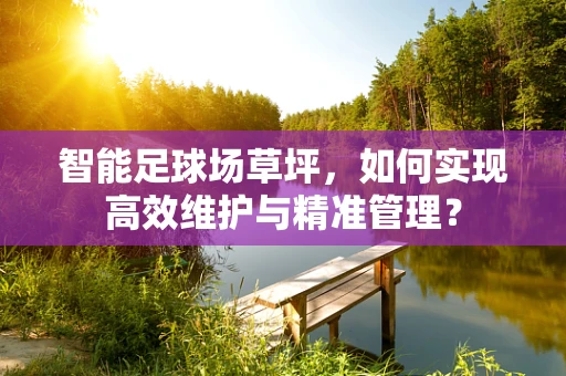 智能足球场草坪，如何实现高效维护与精准管理？