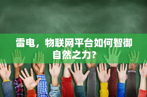 雷电，物联网平台如何智御自然之力？