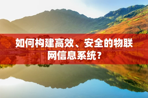 如何构建高效、安全的物联网信息系统？