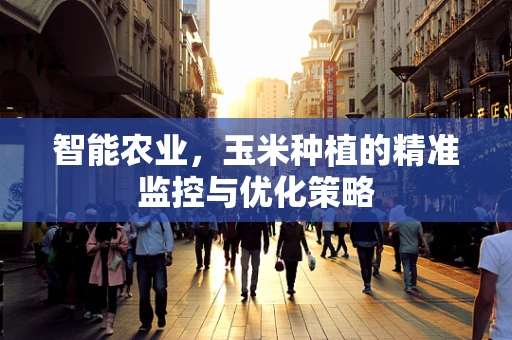智能农业，玉米种植的精准监控与优化策略