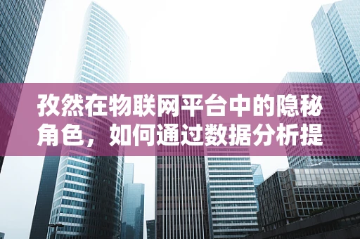 孜然在物联网平台中的隐秘角色，如何通过数据分析提升其供应链透明度？