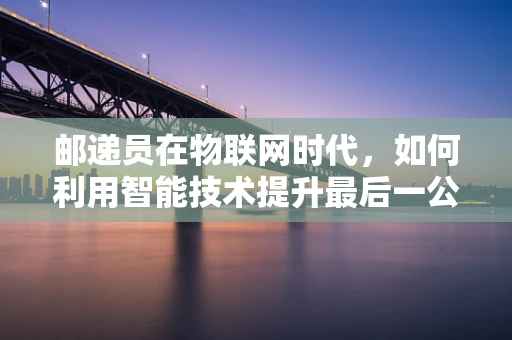 邮递员在物联网时代，如何利用智能技术提升最后一公里的配送效率？