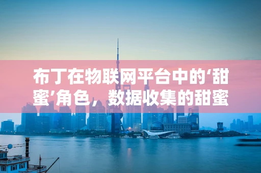 布丁在物联网平台中的‘甜蜜’角色，数据收集的甜蜜负担？