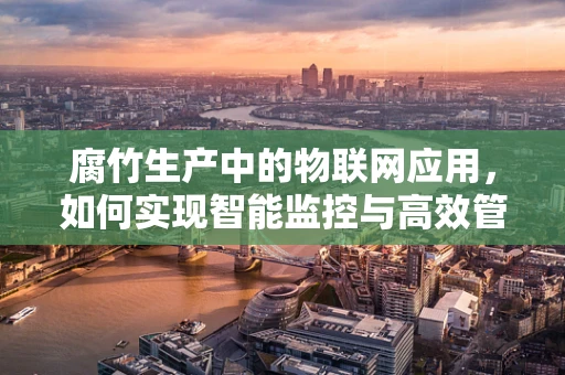 腐竹生产中的物联网应用，如何实现智能监控与高效管理？