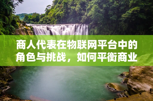 商人代表在物联网平台中的角色与挑战，如何平衡商业利益与技术进步？