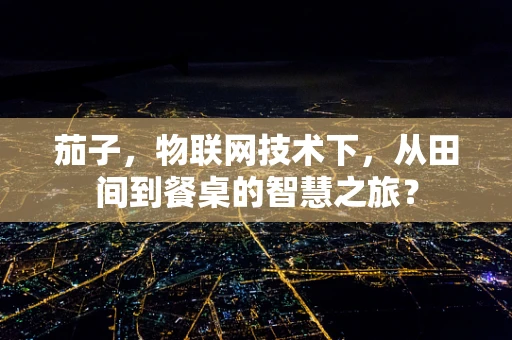 茄子，物联网技术下，从田间到餐桌的智慧之旅？