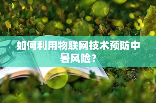 如何利用物联网技术预防中暑风险？