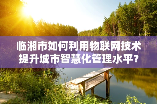 临湘市如何利用物联网技术提升城市智慧化管理水平？