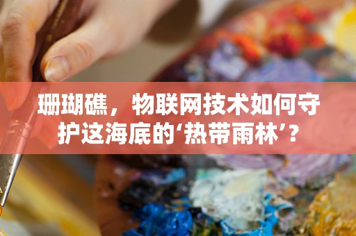 珊瑚礁，物联网技术如何守护这海底的‘热带雨林’？