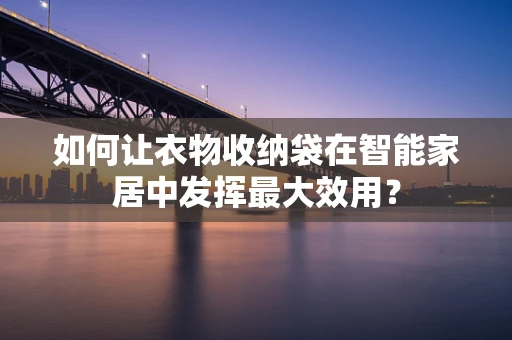 如何让衣物收纳袋在智能家居中发挥最大效用？