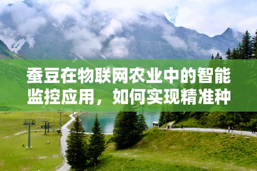 蚕豆在物联网农业中的智能监控应用，如何实现精准种植与收获？