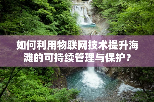 如何利用物联网技术提升海滩的可持续管理与保护？