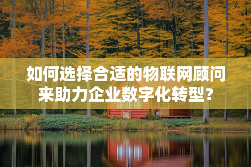 如何选择合适的物联网顾问来助力企业数字化转型？