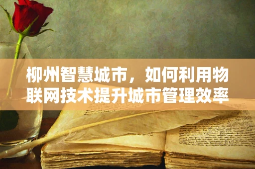 柳州智慧城市，如何利用物联网技术提升城市管理效率？