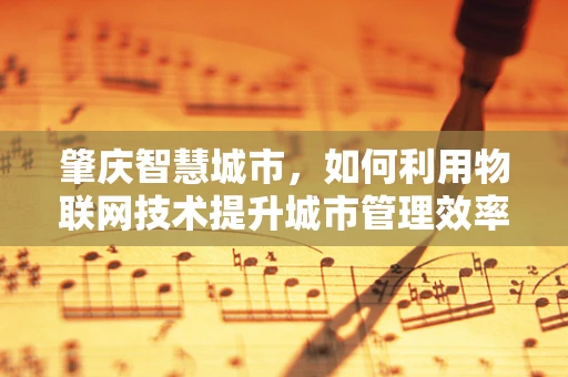 肇庆智慧城市，如何利用物联网技术提升城市管理效率？