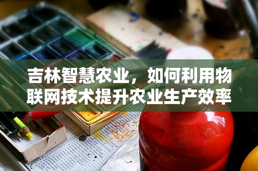吉林智慧农业，如何利用物联网技术提升农业生产效率？
