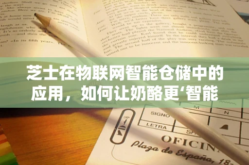 芝士在物联网智能仓储中的应用，如何让奶酪更‘智能’地存储？