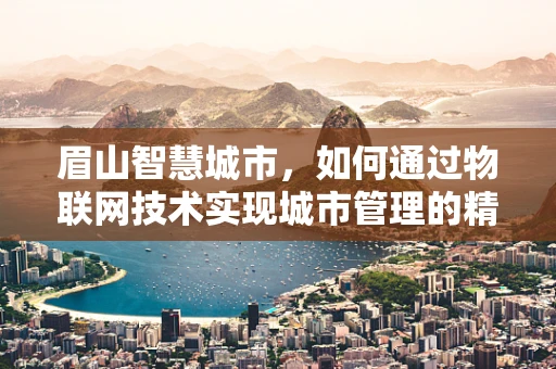 眉山智慧城市，如何通过物联网技术实现城市管理的精细化？
