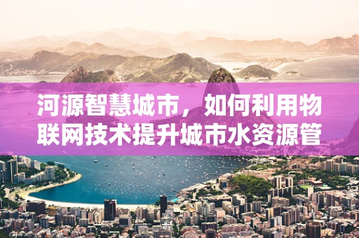 河源智慧城市，如何利用物联网技术提升城市水资源管理？