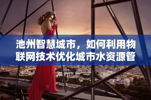 池州智慧城市，如何利用物联网技术优化城市水资源管理？