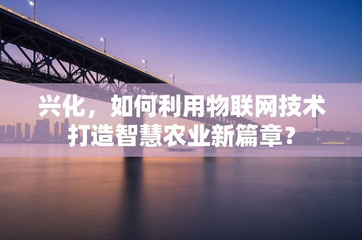 兴化，如何利用物联网技术打造智慧农业新篇章？