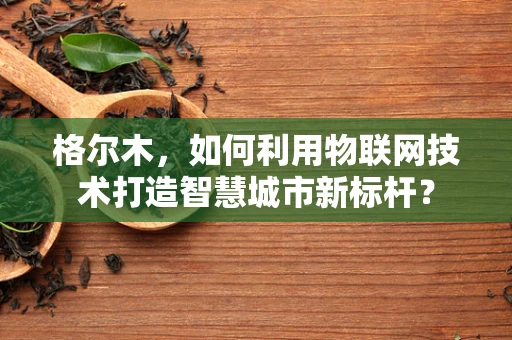 格尔木，如何利用物联网技术打造智慧城市新标杆？