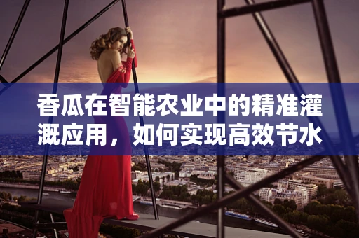 香瓜在智能农业中的精准灌溉应用，如何实现高效节水？