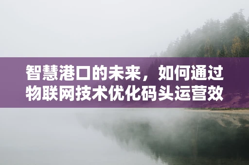 智慧港口的未来，如何通过物联网技术优化码头运营效率？