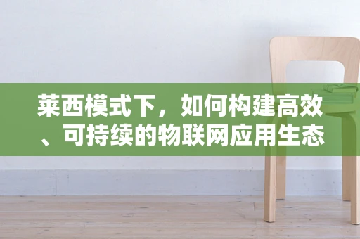 莱西模式下，如何构建高效、可持续的物联网应用生态？