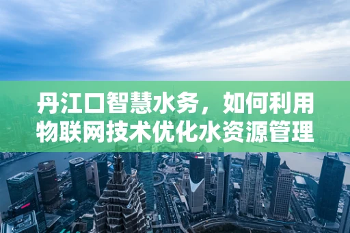 丹江口智慧水务，如何利用物联网技术优化水资源管理？