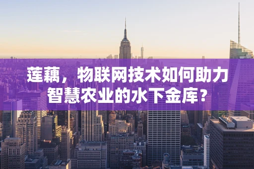 莲藕，物联网技术如何助力智慧农业的水下金库？