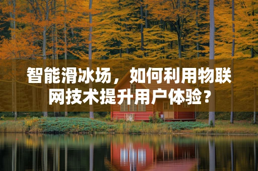 智能滑冰场，如何利用物联网技术提升用户体验？